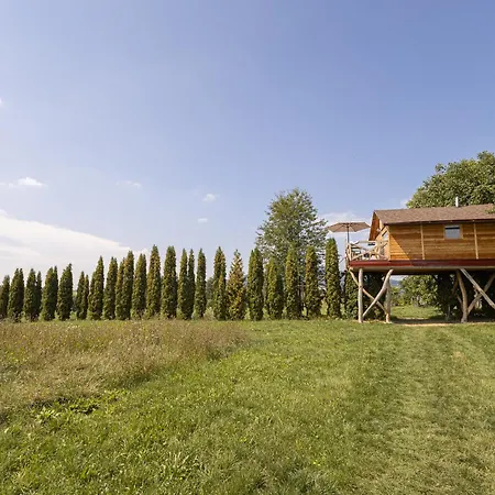 בית נופש Ptaci